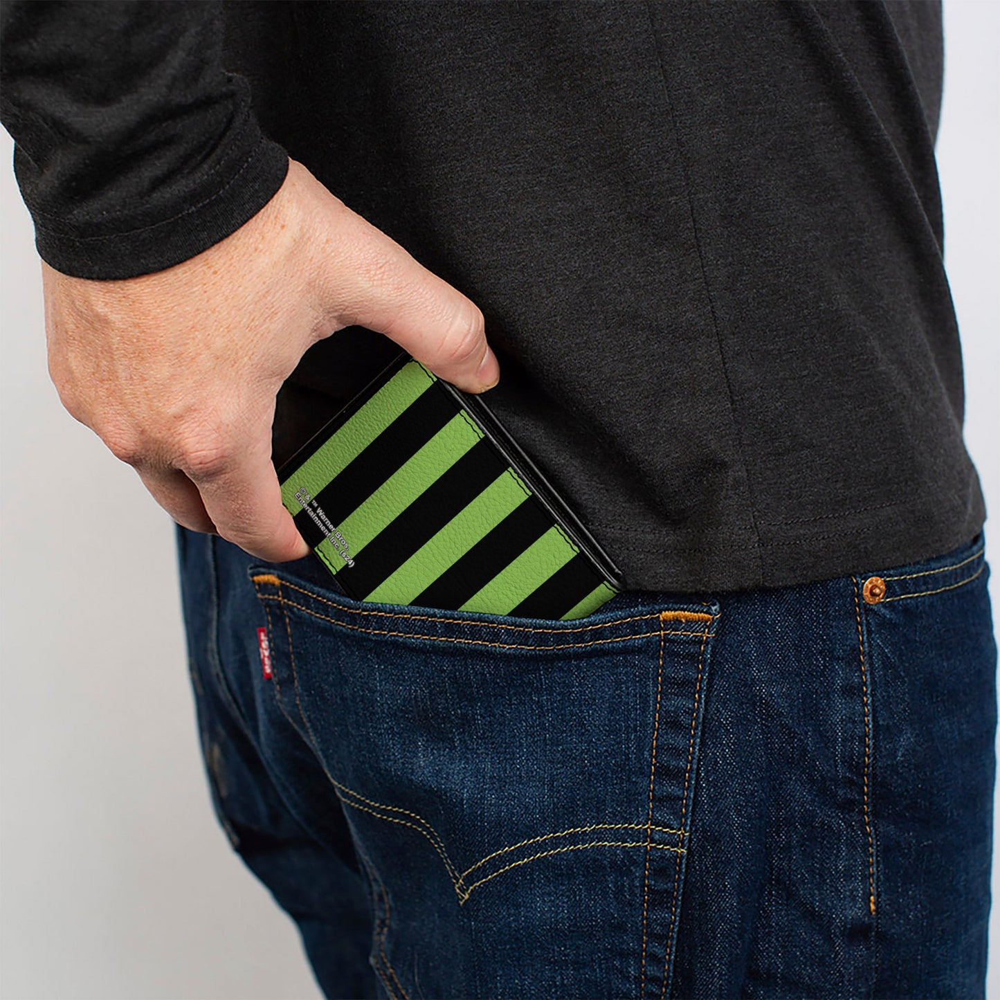 Bi-Fold Wallet - BEETLEJUICE Chibi Characters and Spider Webs Collage Greens - MEGA POP COMICS